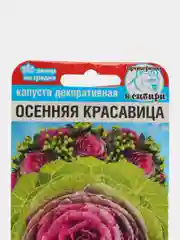 Капуста декоративная "Осенняя красавица", семена