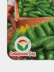 Огурец Изумрудный любимчик F1, семена