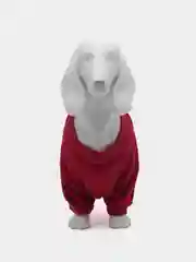 Красный свитер Classic для собак и кошек