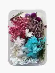 Коралловый сухоцветы в коробе, 17 х 12 х 3 см