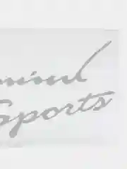 Прозрачный наклейка на авто "Sports mini produced by sports"