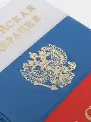 Обложка на паспорт "Триколор"