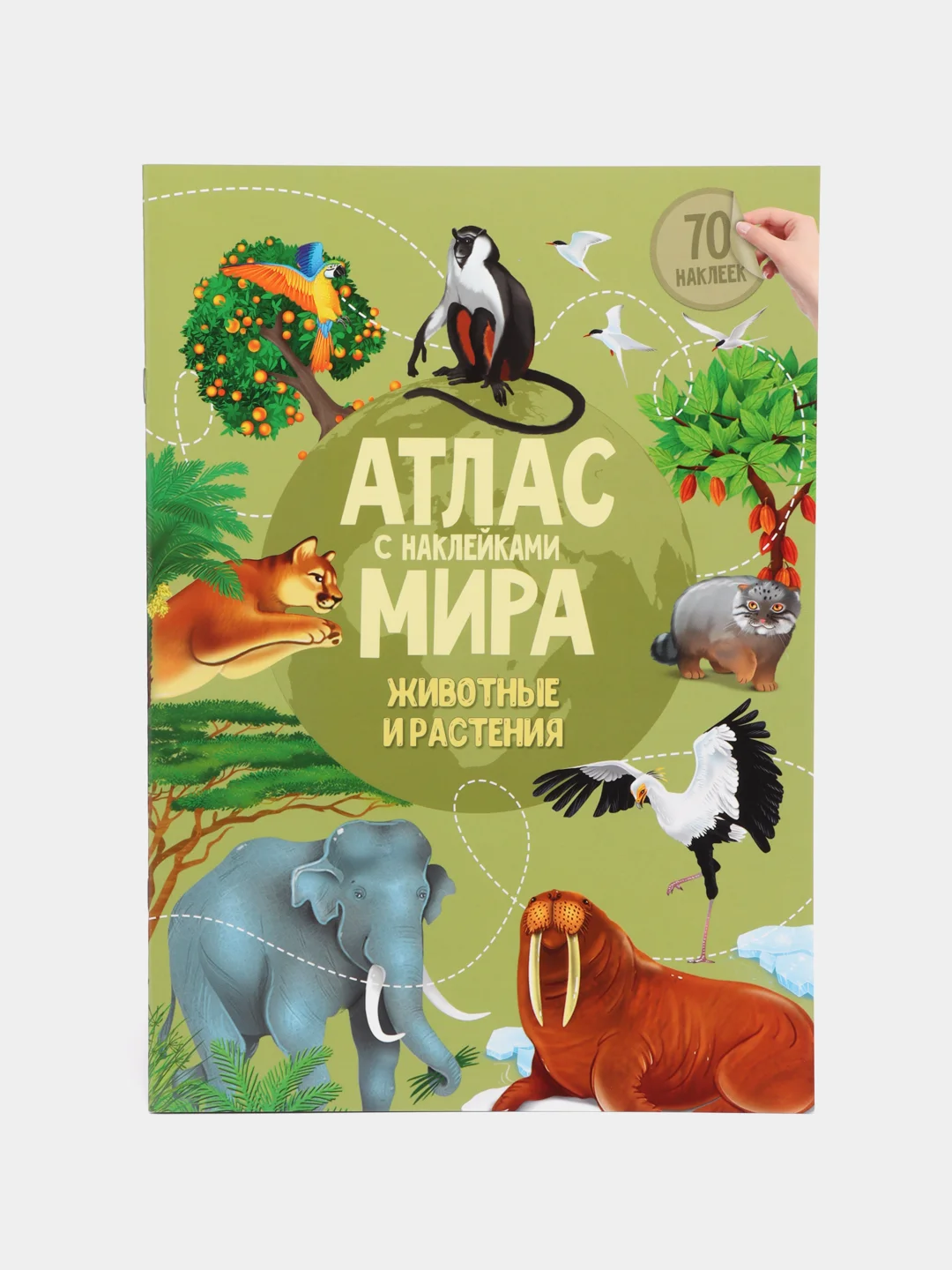 Зеленый атлас Мира с наклейками", наша планета, страны и флаги, животные динозавры птицы насекомые