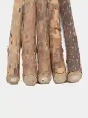 Палочки с кошачьей мятой, мататаби для чистки зубов