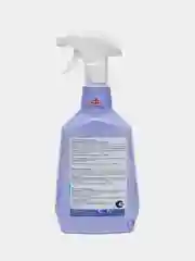 Astonish очиститель стекол и зеркал, эвкалипт и лимон, 750 мл