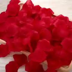 Искусственные лепестки роз прессованные / Лепестки роз для декора, рукоделия