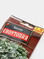 Семена цветов "Бакопа Сноутопия"