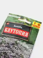 Семена цветов "Бакопа Блутопия"