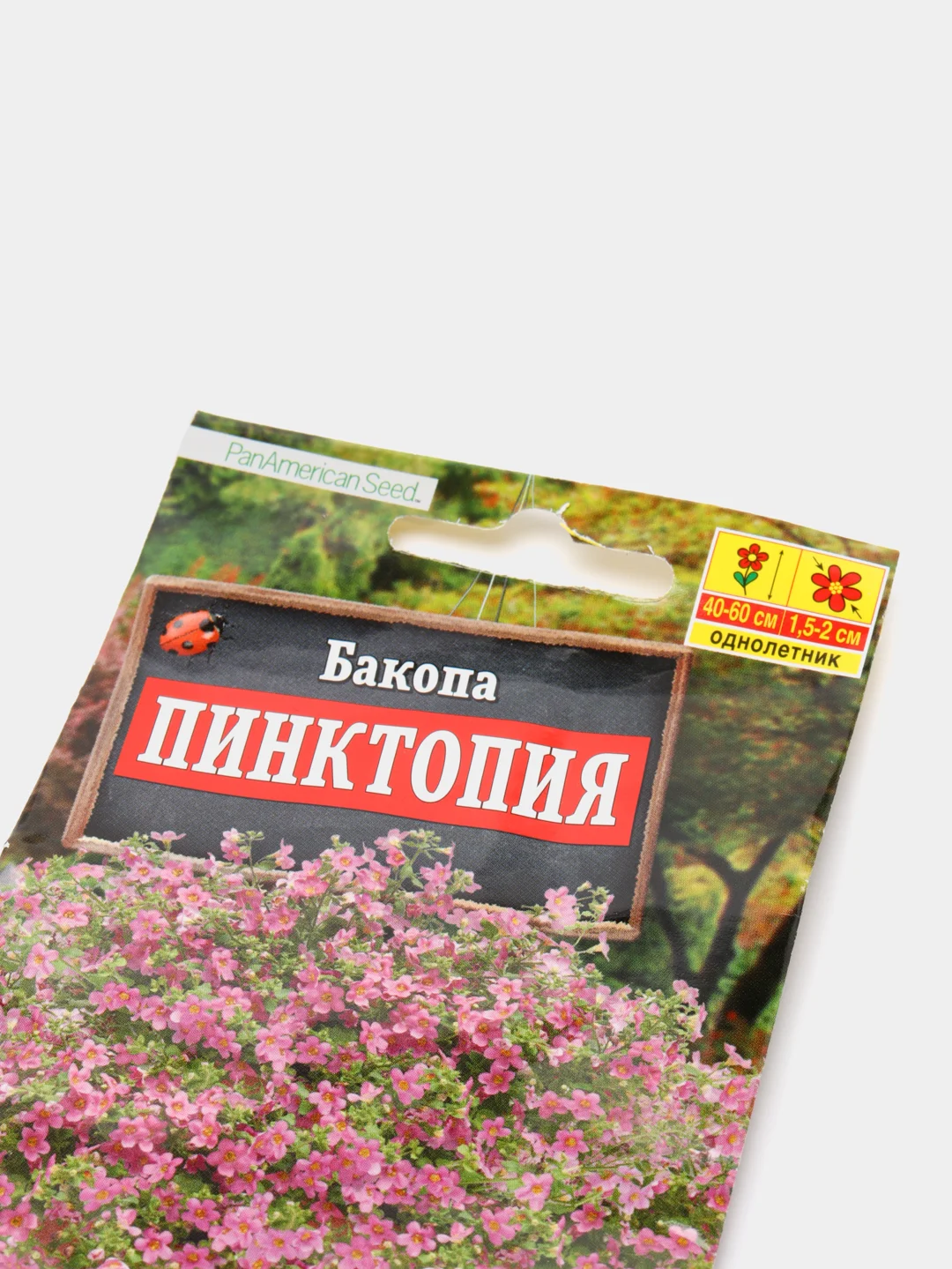 Семена цветов "Бакопа Пинктопия"