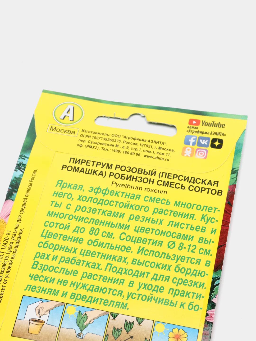 Ромашка Робинзон (семена,цветы)