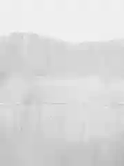 Юбка пачка детская