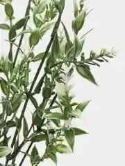 Белый лаванда пшеничная, искусственные цветы