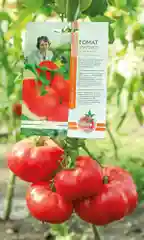 Семена "Томат Златоуст", крупноплодный, 20 шт