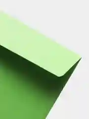 Лайм подарочный конверт цветной