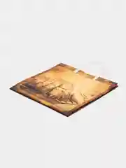 Бронзовый подарочный пакет пластик 30*30*10см