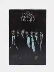 Карточки K-POP группы ENHYPEN "DARK BLOOD", 55 штук