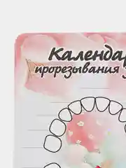 Кораллово-розовый календарь прорезывания зубов