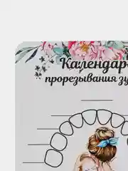 Бежевый меланж календарь прорезывания зубов