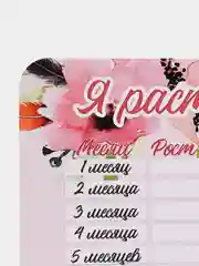 Прозрачный календарь роста малыша