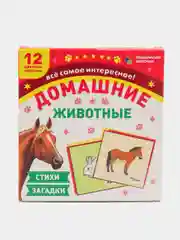 "Домашние животные": игра развивающая для детей старше 3-х лет из фетра