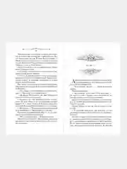 Принц Ардена (#1), Софи Анри