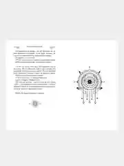 Вороновый круг. Синяя лилия, лилия Блу (#3) (подарочное оформление), Мэгги Стивотер