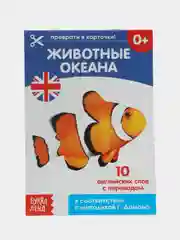 Фуксия развивающие карточки по методике Домана, на английском языке