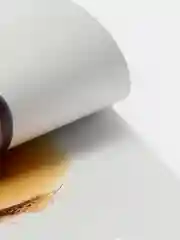 Коралловый меланж развивающие карточки по методике Домана, на английском языке