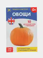 Коралловый меланж развивающие карточки по методике Домана, на английском языке
