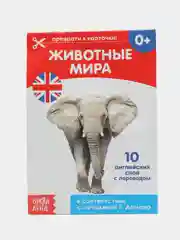 Конфетный развивающие карточки по методике Домана, на английском языке