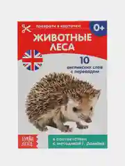 Красный развивающие карточки по методике Домана, на английском языке