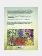Лекарственные растения. Большая иллюстрированная энциклопедия, Татьяна Ильина
