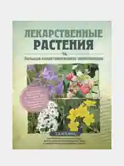 Лекарственные растения. Большая иллюстрированная энциклопедия, Татьяна Ильина