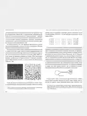 Форма реальности, Джордан Элленберг