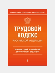 Трудовой кодекс Российской Федерации, Светлана Каменская