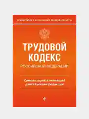 Трудовой кодекс Российской Федерации, Светлана Каменская