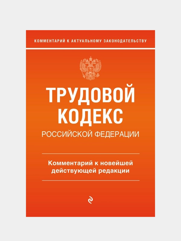 Трудовой кодекс Российской Федерации, Светлана Каменская
