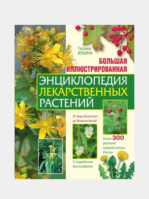 Большая иллюстрированная энциклопедия лекарственных растений, Татьяна Ильина