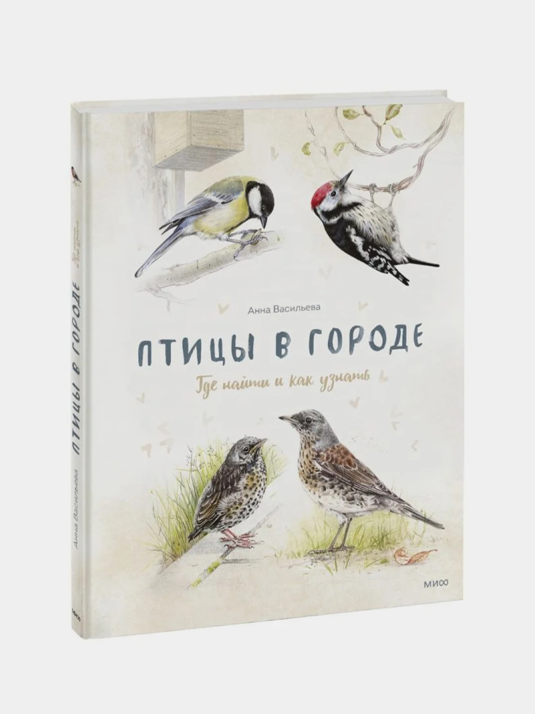 Птицы в городе. Где найти и как узнать, Анна Васильева