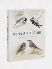 Птицы в городе. Где найти и как узнать, Анна Васильева
