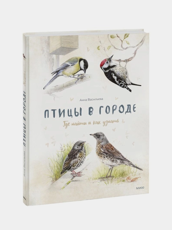 Птицы в городе. Где найти и как узнать, Анна Васильева