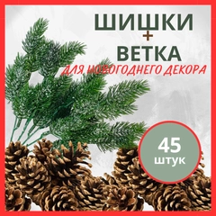 Шишки для новогоднего декора, сосновые и еловые