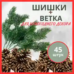 Шишки для новогоднего декора, сосновые и еловые