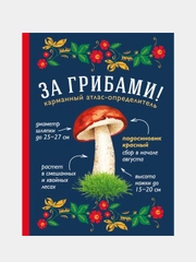 За грибами. Карманный атлас-определитель, Татьяна Ильина