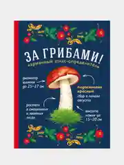 За грибами. Карманный атлас-определитель, Татьяна Ильина