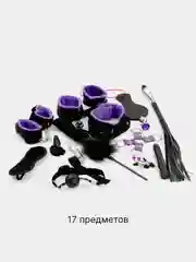 Пурпурный набор БДСМ, 2 вида бдсм набор
