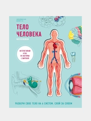 Тело человека, Габриэль Билич, Елена Зигалова