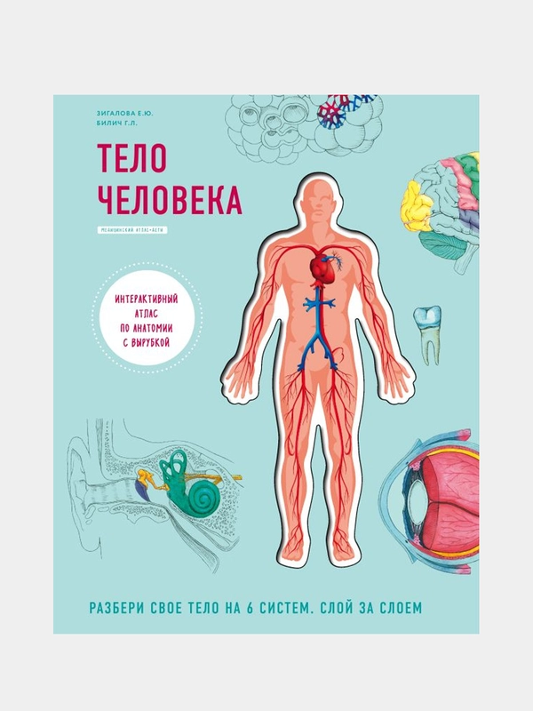 Тело человека, Габриэль Билич, Елена Зигалова