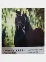 Алмазная мозаика 40*50 см, 20*30см и 30*40см