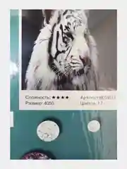 Белый алмазная мозаика 40*50 см, 20*30см и 30*40см